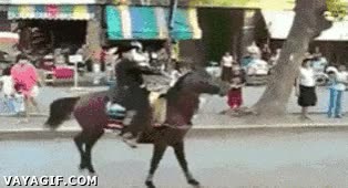 espacio,absurdo,volar,caballo,final inesperado