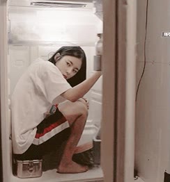 nevera,calor,verano,dentro,frio,esconderse,aire acondicionado