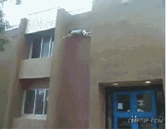 Ninja,Escalar,Subir,Habilidad,Casa,Trepar,Camino largo y dif&iacute;cil para acabar peg&aacute;ndotela