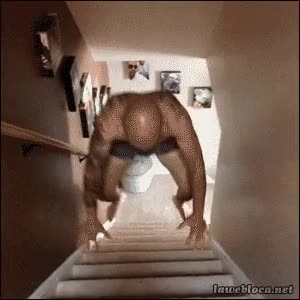 saltos,escalones,pelón,calvo,subir,saltar,a cuatro patas