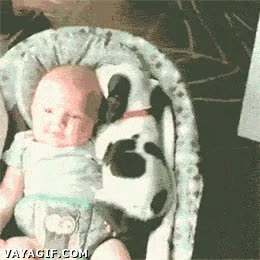 Juntos,Cari&ntilde;o,Cachorro,Amigo,Perro,Beb&eacute;