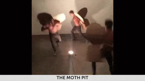 baile,teatro,alas,chicos,el mosh pit para los mariposones