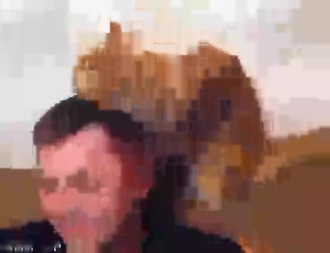 Cabeza,Pelo,Morder,Gato,Limpiar,Acicalar