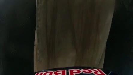 Doble voltereta,Doble,Moto,Voltear,Primera persona,Backlip,Mortal