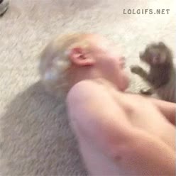 gato,bebe,ataque,morder,cruel,cachorro,jugar
