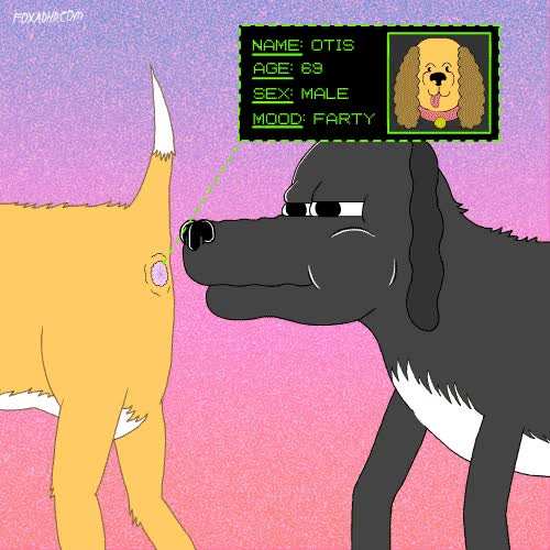 perros,canes,gif,humor,leer,puerta trasera