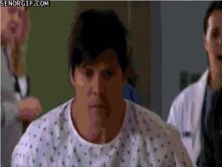 aperitivo,tropezar,organos,transplante,comer,perro