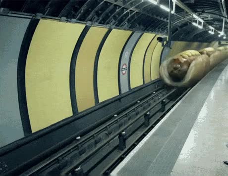 frankfurt,lol,metro,perritos calientes,comida,yo me subo,tren