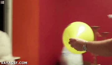 si se llega a caer...,ventana,gato,explotar,cuchillo,amarillo,explosion,globo,asustar,susto