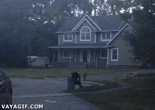 a dos patas,caminando,buscando comida,barrio,caser&iacute;o,oso