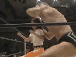 se come el palo,niña,lucha libre,galleta,wrestling japones,poste,ring,niño repelente,tren,malcriado,aunque vayan los padres con el