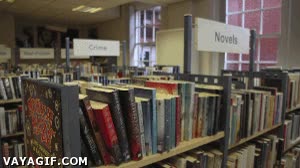 Éste es más o menos mi ritmo de lectura en verano cuando todos mis amigos están por ahí estanteria,libros,movimiento,mover,stop motion