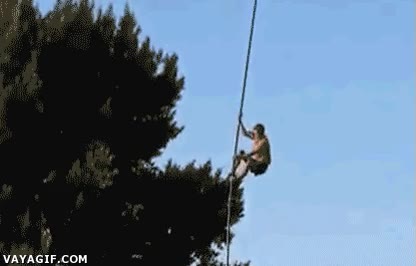 p&eacute;rtiga,deporte,Holanda,salto,brinco,trepar,casi se sale de la pista