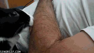 brazos,comer,morder,mando m&iacute;tico de la 64,pelos,nintendo 64