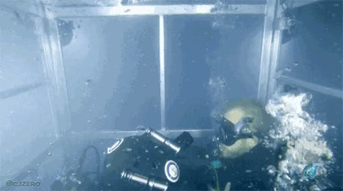 submarinistas,jaula,chocar,golpear,tiburón,susto