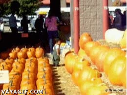 calabaza,caída,niño,accidente,indiana jones,bola rodante,arrollar