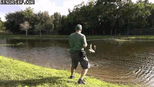 Enlace a Nueva disciplina de pesca, usando caña y halcón