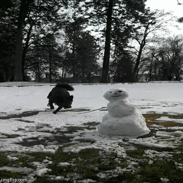 locura,destruir,romper,mu&ntilde;eco de nieve,frozen