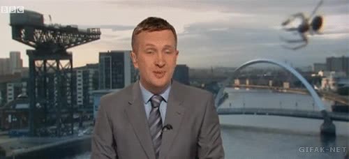 edificios,gigante,hombre,noticias,presentador,ara&ntilde;a