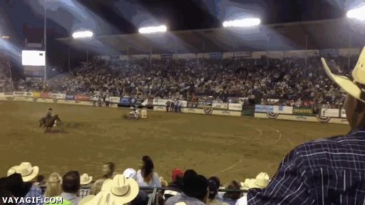 caballo,carrera,equino,máquina,motocicleta