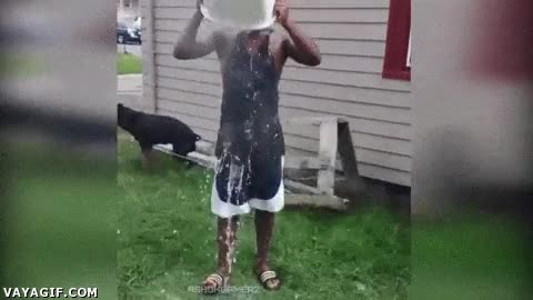 GTA V,ice bucket challenge,playstation