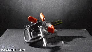 buitres,videojuego,Im&aacute;n,chica,atracci&oacute;n