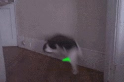 saltar,esquivar,gato,laser