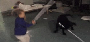 pelea,jedi,luchar,espadas laser,star wars,la guerra de las galaxias,perro