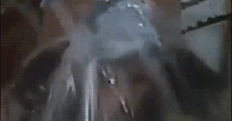 ¡Vaya GIF! / Don Ramón ya hacía el Ice Bucket Challenge antes de que ...