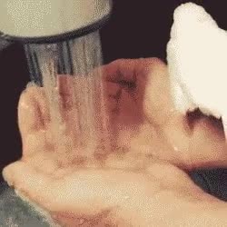 grifo,limpio,mojarse,contento,pajaro,ducha