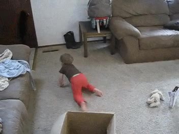 gato,laser,perseguir,punto rojo,pared,ni&ntilde;o,gatear