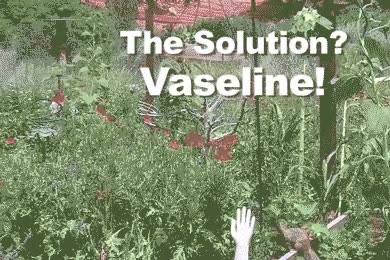 ardilla,ladrona,robar,comedero,vaselina,palo,engrasar,aves