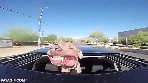 sonrisa,sonreir,viento,abierto,techo solar