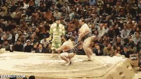 sumo,luchadores,esquivar,posar,sentido del humor,divertido