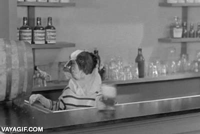 perros,bar,camarero,cerveza,pasar,blanco y negro