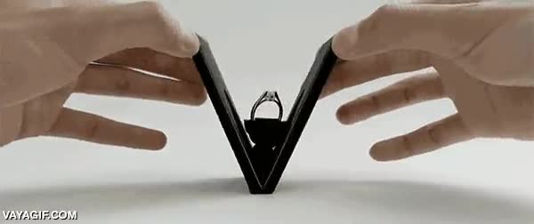 curioso,girar,abrir,estuche,funda,anillo