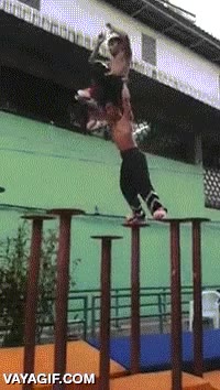 nivel,postes,subir,entre dos,como los leones,entrenamiento