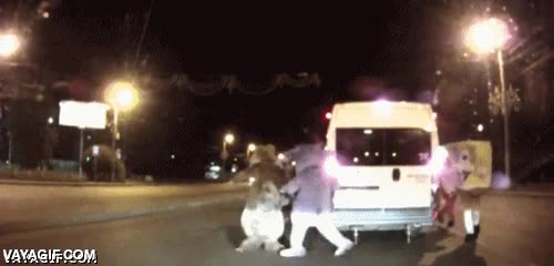 mascotas,disfraces,carretera,accidente,disfraz,pegar