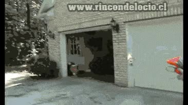 lanzallamas,pistola de agua,cerillas,fuego,sustancia inflamable