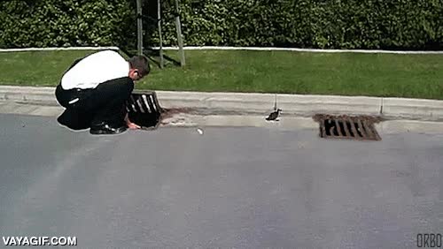 pato,rescatar,alcantarilla,fail,patito,volver a caer,bucle infinito