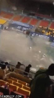 techo,desplomarse,desplomar,pabellon,polideportivo,caer