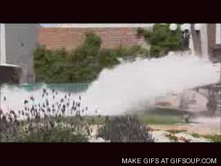 Enlace a Ice Bucket Challenge al estilo Jackass