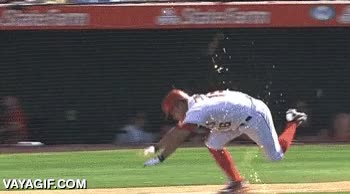deporte,beisbol,caida,explosiones,fail,muerto,peligroso,baseball