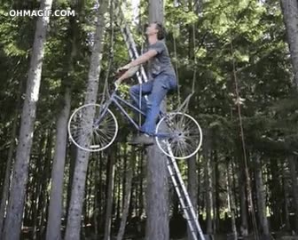 bicicleta,bici,ascensor,subir,casa en el arbol,treehouse