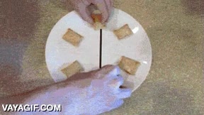 instrucciones,uso,alimentos,comida,microondas,pasos a seguir