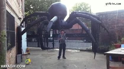 control remoto,teledirigido,ara&ntilde;a,robot,movimiento,patas