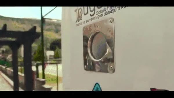 alimentar,pienso,comida,perros,callejeros,dar de comer,una buena causa,estambul