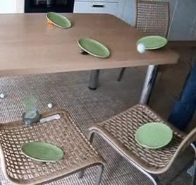 platos,rebotes,rebotar,pelota de ping-pong,tenis de mesa,ping pong