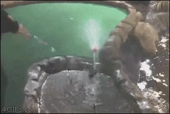 pelota,fuente,chorro,aprovechar,minigolf,mini-golf