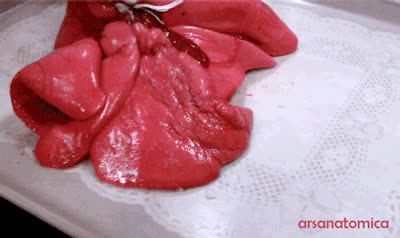 pulmones,respirar,inflarse,aire,sanos